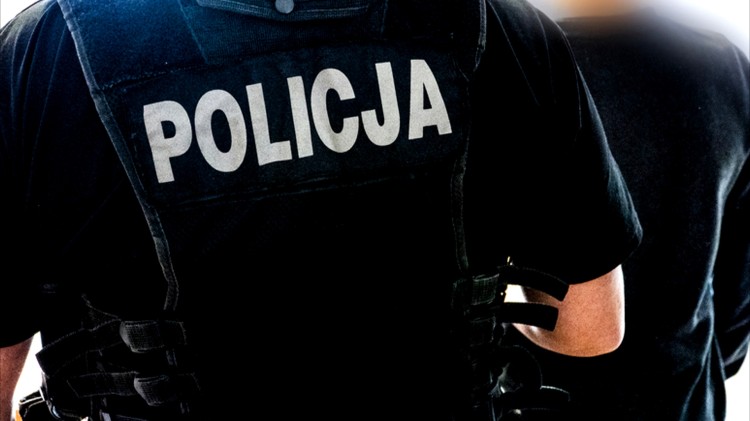Stegna. Poszukiwany przez sąd mężczyzna przyszedł na posterunek policji…