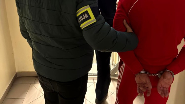 Nowy Dwór Gdański. Policjanci zabezpieczyli 5 kg marihuany i 295 tabletek…