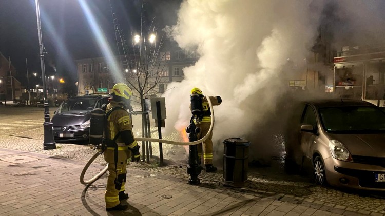 Pożar samochodu, domku na drzewie i traw – tygodniowy raport malborskich…