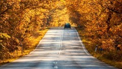 Jesień na drogach – czas wzmożonej ostrożności dla kierowców i pieszych. 