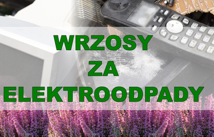 Oddaj elektroodpady, odbierz wrzosy – 3. edycja ekologicznej akcji w…