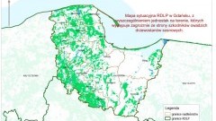 Nadleśnictwo Elbląg informuje o rozpoczęciu konsultacji społecznych