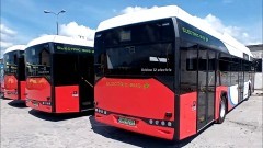 Malbork. Od piątku w trasę wyjadą nowe autobusy elektryczne.