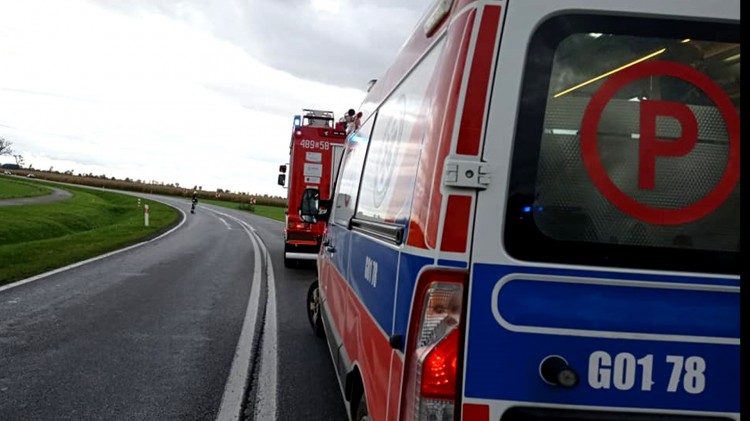 3-letnie dziecko zemdlało na targach rolniczych w Starym Polu – weekendowy…