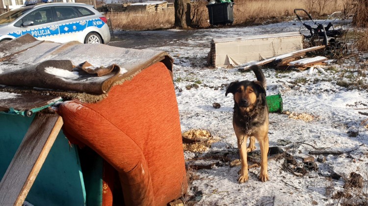 Nowy Dwór Gdański. Policjanci apelują - mróz jest śmiertelnym zagrożeniem…