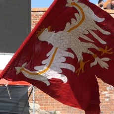 Malbork. Pod zamkiem walczyli rycerze ? Sportowe Walki Rycerskie już…