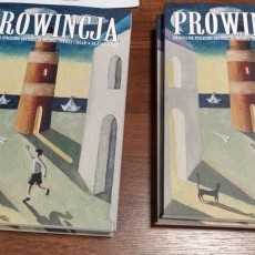 15. lat Prowincji ? jubileusz kwartalnika dokumentującego życie Dolnego…